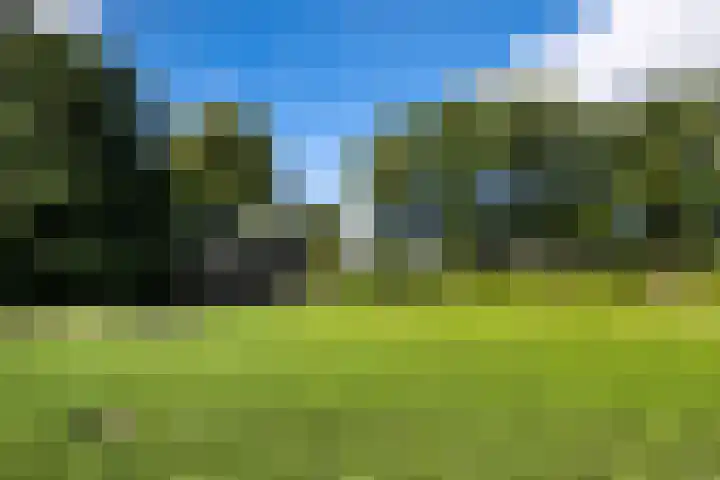 Vogelenzangseweg 45 Vogelenzang thumbnail 37