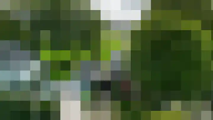 Vogelenzangseweg 45 Vogelenzang thumbnail 38