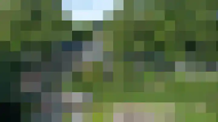 Vogelenzangseweg 45 Vogelenzang thumbnail 39
