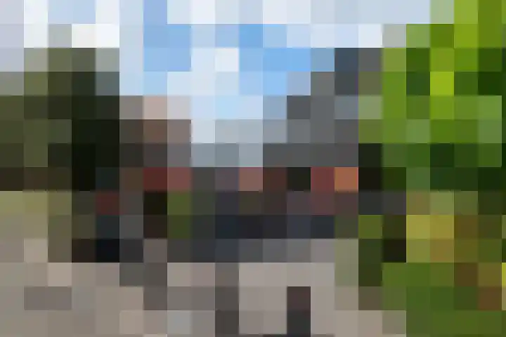 Vogelenzangseweg 45 Vogelenzang thumbnail 41