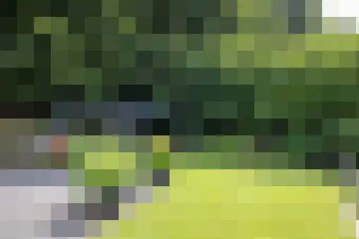 Vogelenzangseweg 69 Vogelenzang thumbnail 24