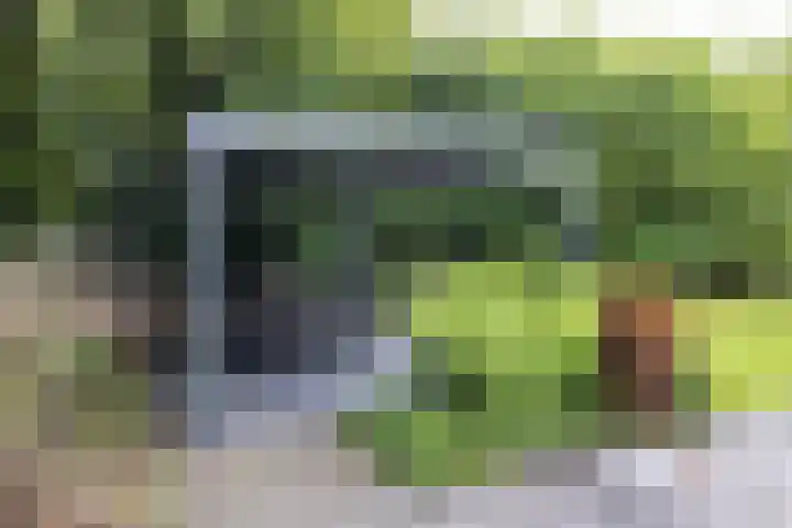 Vogelenzangseweg 69 Vogelenzang thumbnail 25
