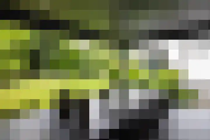 Vogelenzangseweg 69 Vogelenzang thumbnail 26