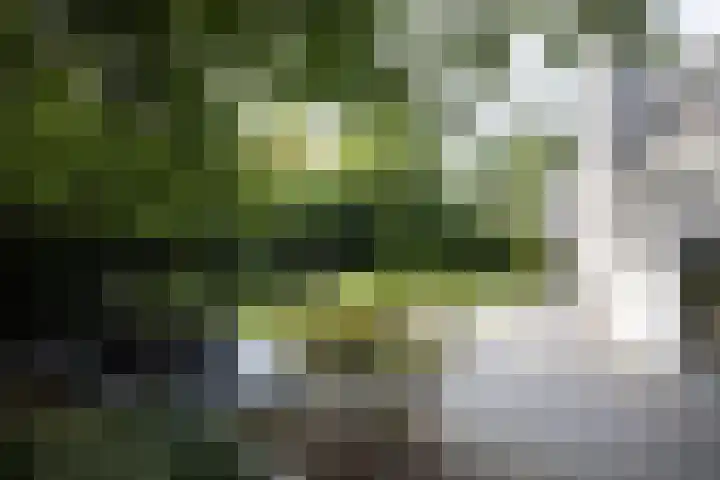 Vogelenzangseweg 69 Vogelenzang thumbnail 27