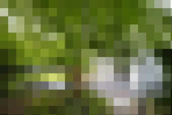 Vogelenzangseweg 69 Vogelenzang thumbnail 28