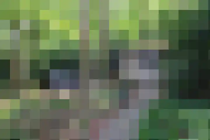 Vogelenzangseweg 69 Vogelenzang thumbnail 29