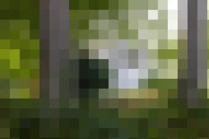 Vogelenzangseweg 69 Vogelenzang thumbnail 30