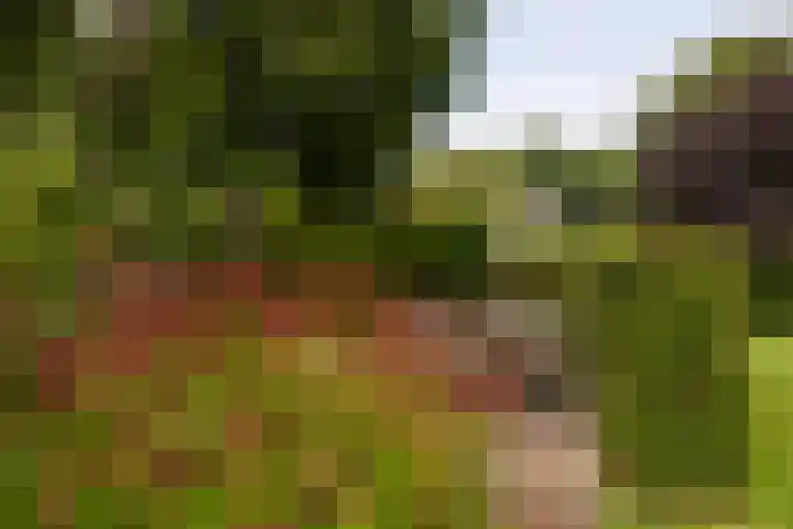 Vogelenzangseweg 69 Vogelenzang thumbnail 32