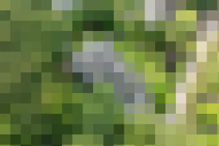 Vogelenzangseweg 69 Vogelenzang thumbnail 34