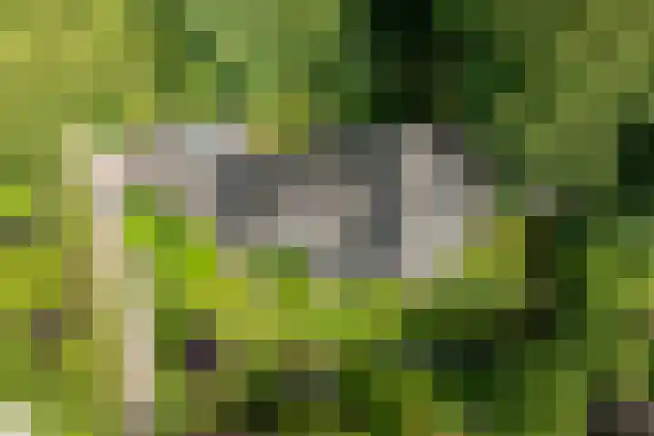 Vogelenzangseweg 69 Vogelenzang thumbnail 35