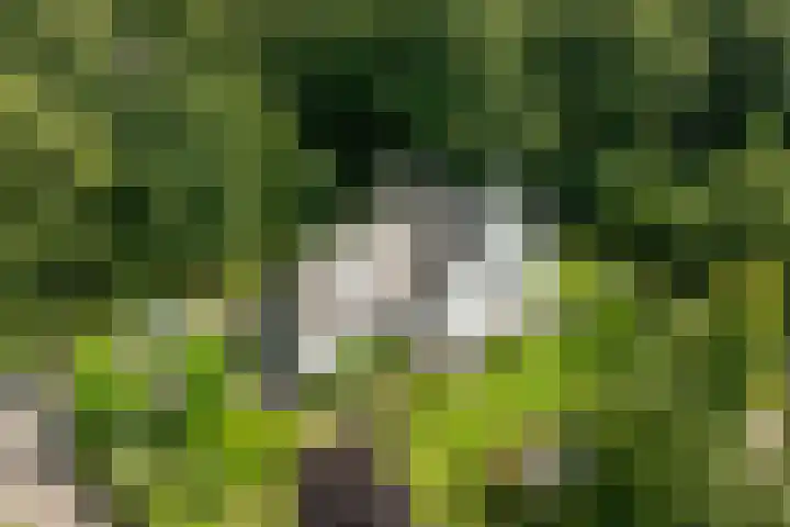 Vogelenzangseweg 69 Vogelenzang thumbnail 37