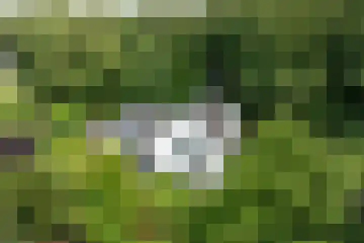Vogelenzangseweg 69 Vogelenzang thumbnail 38