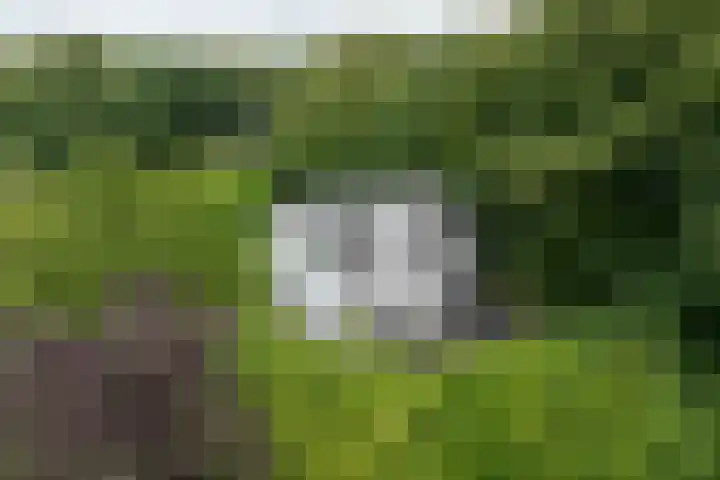 Vogelenzangseweg 69 Vogelenzang thumbnail 39