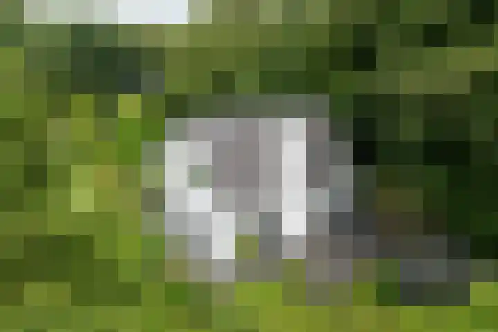Vogelenzangseweg 69 Vogelenzang thumbnail 40