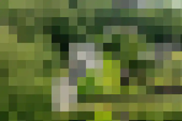 Vogelenzangseweg 69 Vogelenzang thumbnail 41