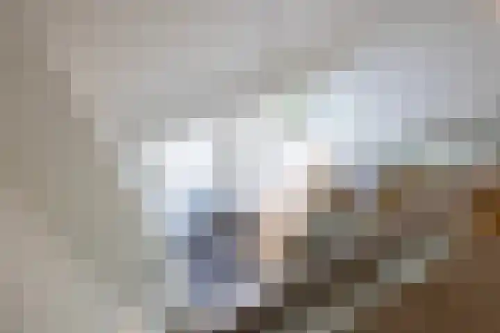 Vogelenzangseweg 69 Vogelenzang thumbnail 50