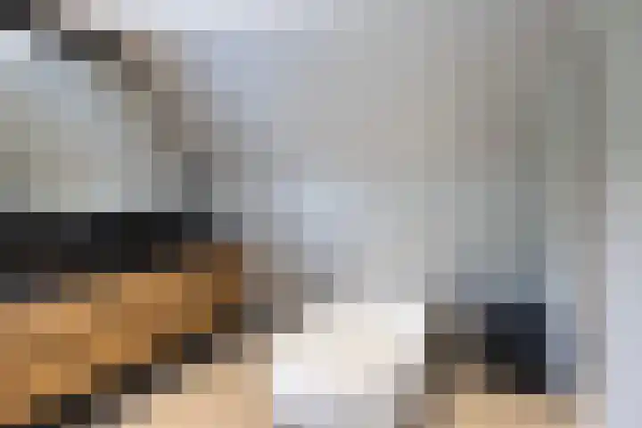 Vogelenzangseweg 69 Vogelenzang thumbnail 58