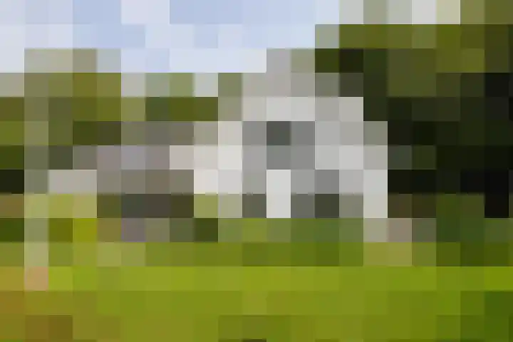 Vogelenzangseweg 69 Vogelenzang thumbnail 6