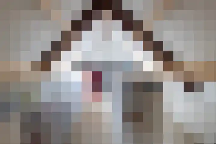 Vogelenzangseweg 69 Vogelenzang thumbnail 65