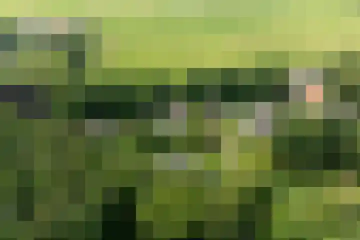 Vogelenzangseweg 69 Vogelenzang thumbnail 67