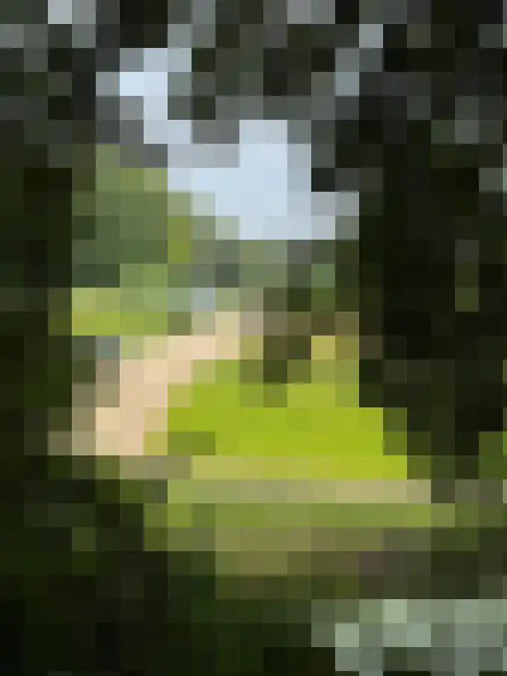 Vogelenzangseweg 69 Vogelenzang thumbnail 68