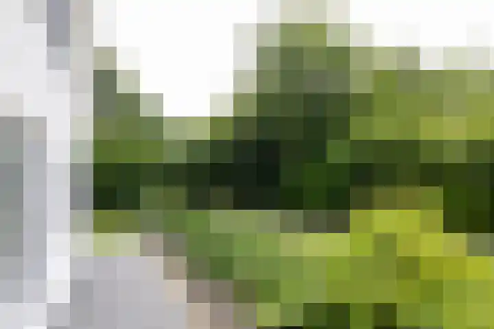 Vogelenzangseweg 69 Vogelenzang thumbnail 7