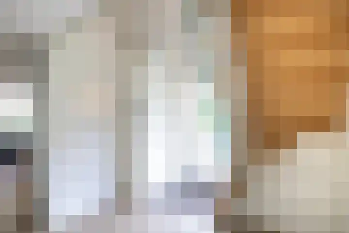 Vogelenzangseweg 69 Vogelenzang thumbnail 8