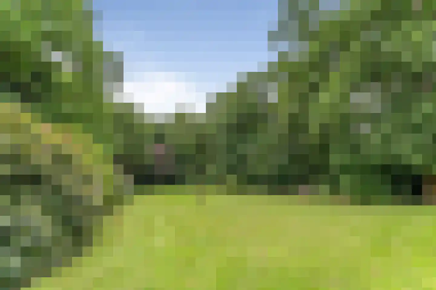 Vogelenzangseweg 79 a1 Vogelenzang thumbnail 24