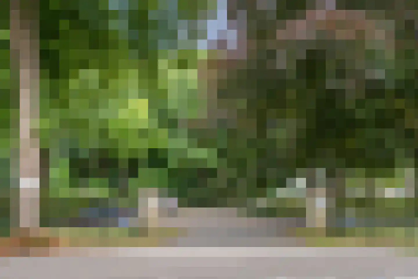 Vogelenzangseweg 79 a1 Vogelenzang thumbnail 30
