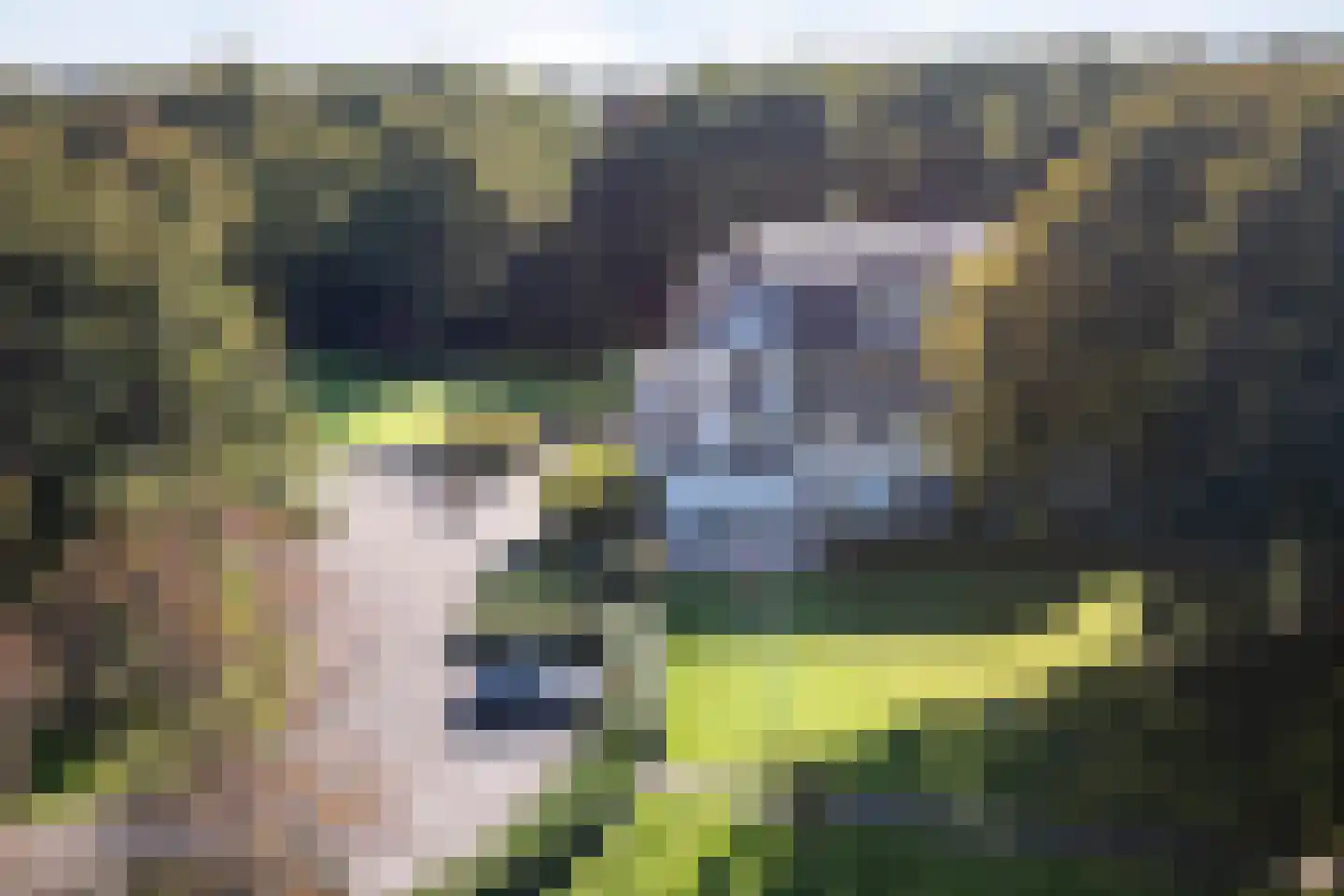 Vogelenzangseweg 79 a1 Vogelenzang thumbnail 31