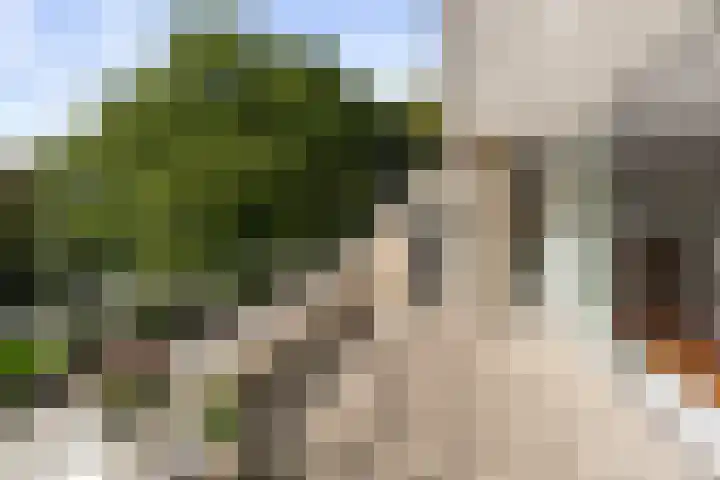 Vogelenzangseweg 79 a12 Vogelenzang thumbnail 10