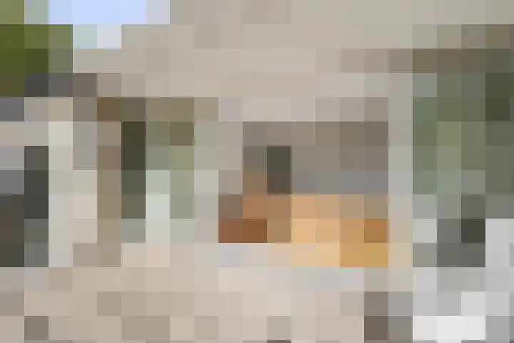 Vogelenzangseweg 79 a12 Vogelenzang thumbnail 11