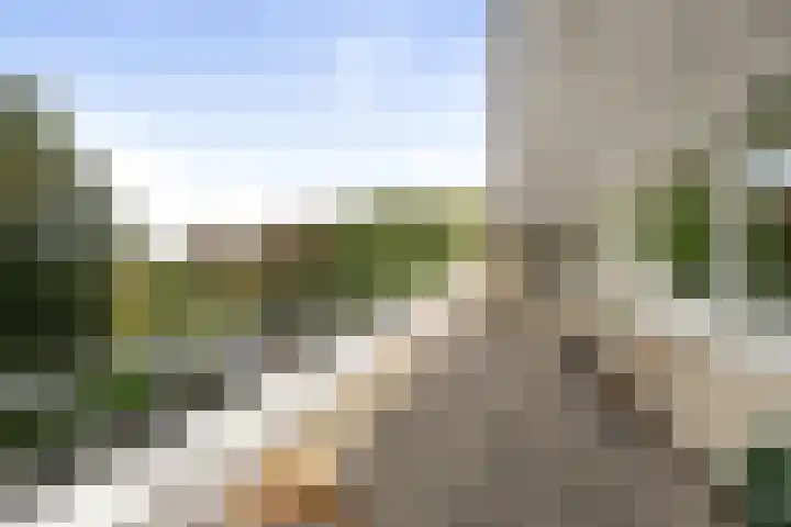 Vogelenzangseweg 79 a12 Vogelenzang thumbnail 16