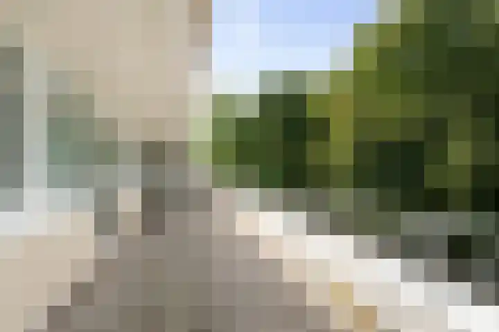 Vogelenzangseweg 79 a12 Vogelenzang thumbnail 17