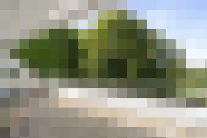 Vogelenzangseweg 79 a12 Vogelenzang thumbnail 25