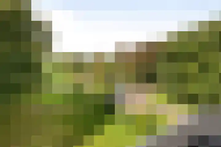 Vogelenzangseweg 79 a12 Vogelenzang thumbnail 26