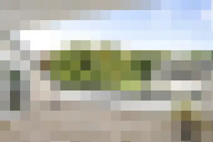 Vogelenzangseweg 79 a12 Vogelenzang thumbnail 30