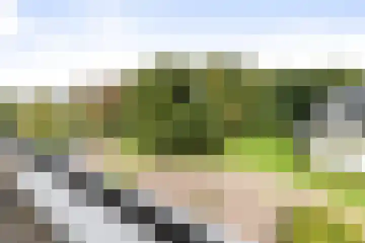 Vogelenzangseweg 79 a12 Vogelenzang thumbnail 31