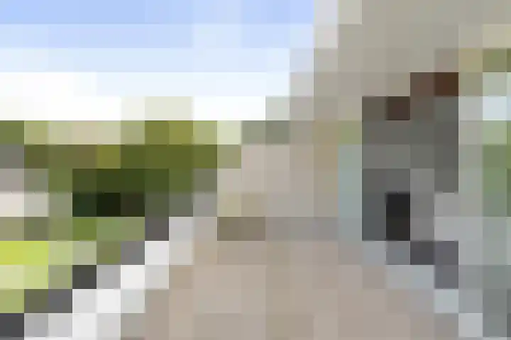 Vogelenzangseweg 79 a12 Vogelenzang thumbnail 32