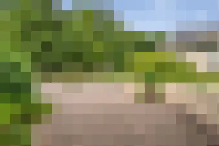 Vogelenzangseweg 79 a12 Vogelenzang thumbnail 46