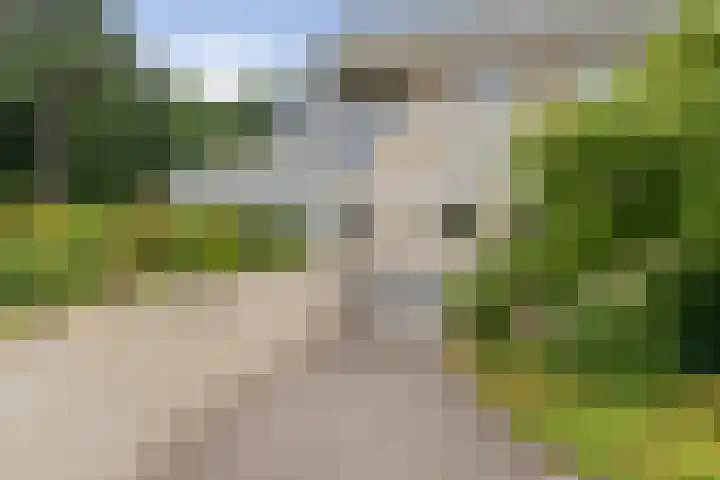 Vogelenzangseweg 79 a12 Vogelenzang thumbnail 47