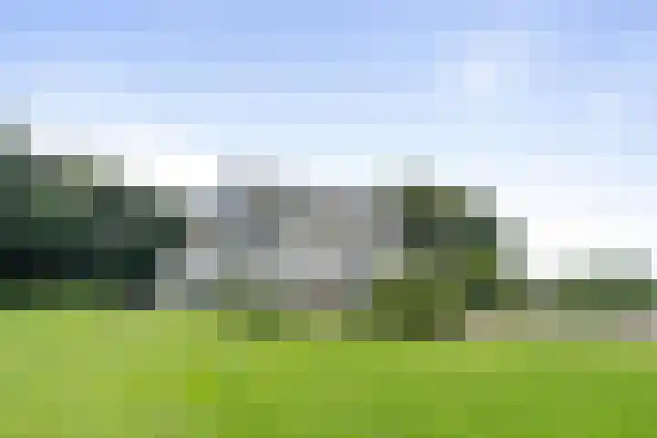Vogelenzangseweg 79 a12 Vogelenzang thumbnail 50