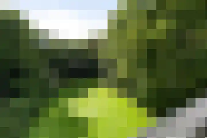 Vogelenzangseweg 79 a12 Vogelenzang thumbnail 9