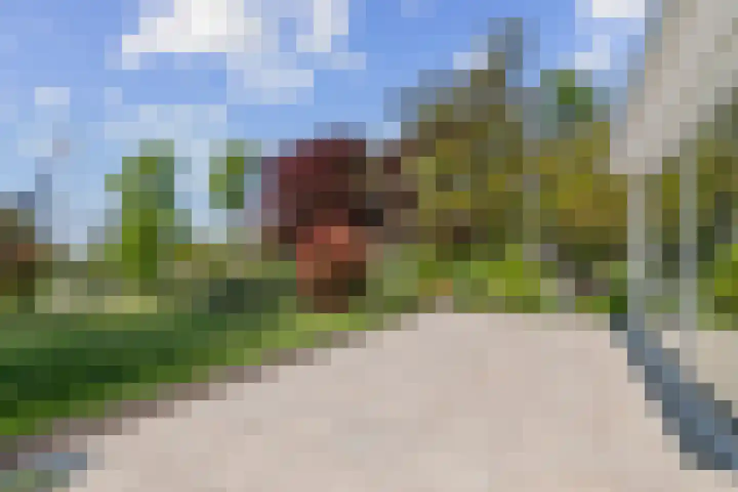 Vogelenzangseweg 79 a4 Vogelenzang thumbnail 10