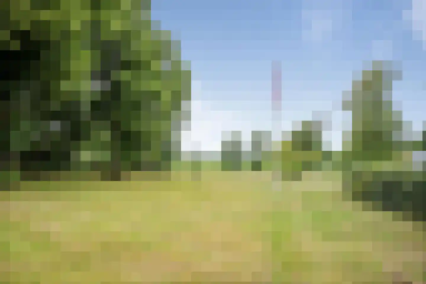Vogelenzangseweg 79 a4 Vogelenzang thumbnail 11