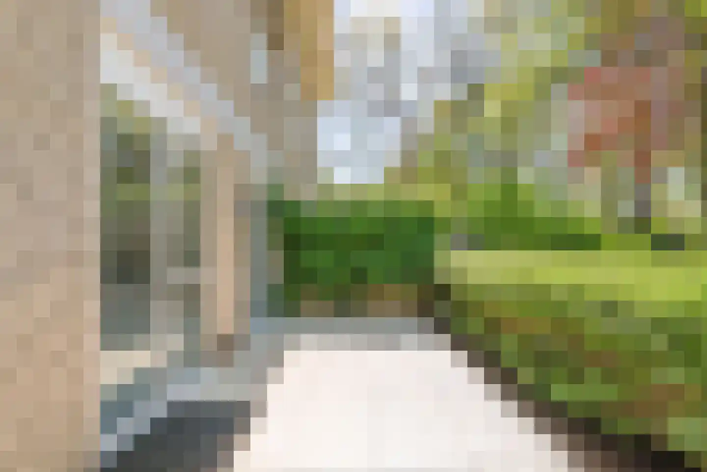 Vogelenzangseweg 79 a4 Vogelenzang thumbnail 16