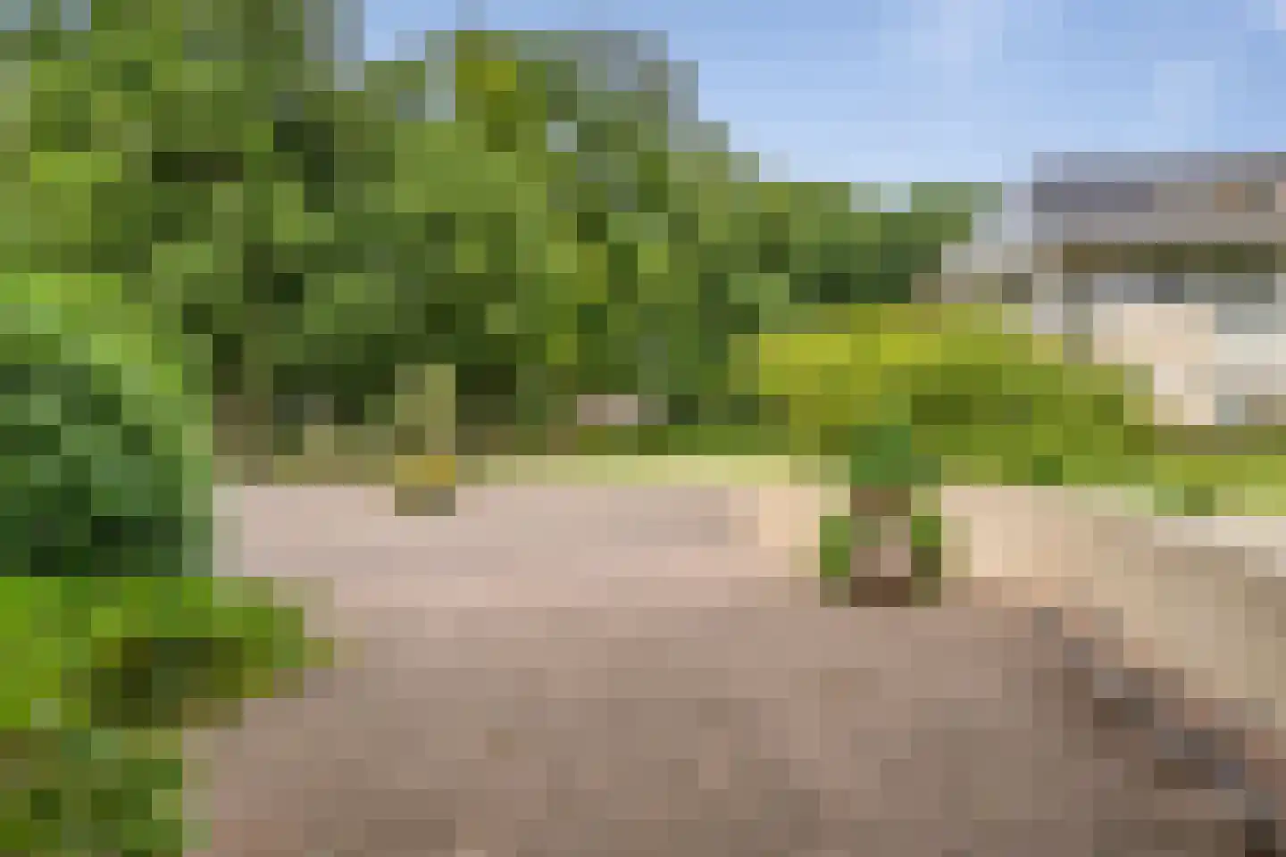 Vogelenzangseweg 79 a4 Vogelenzang thumbnail 32