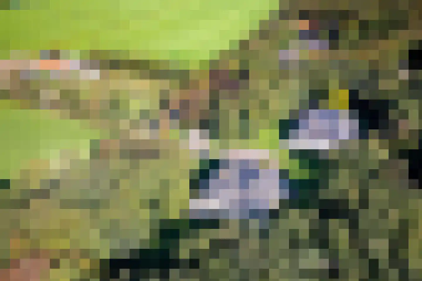 Vogelenzangseweg 79 a4 Vogelenzang thumbnail 37
