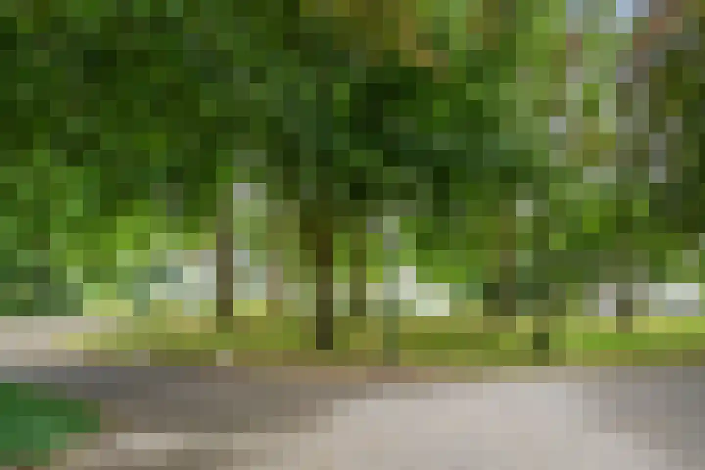 Vogelenzangseweg 79 a4 Vogelenzang thumbnail 31