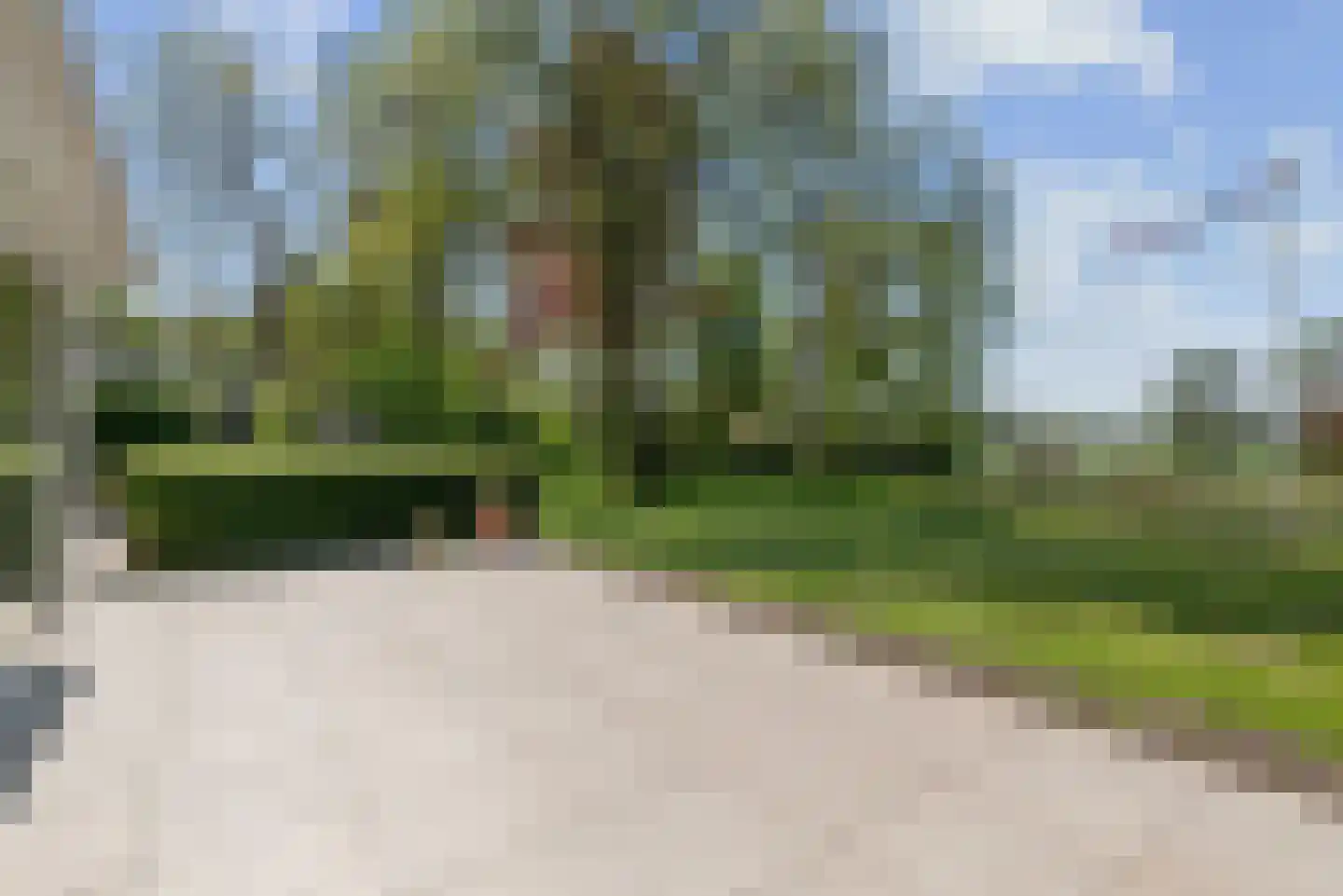 Vogelenzangseweg 79 a4 Vogelenzang thumbnail 9